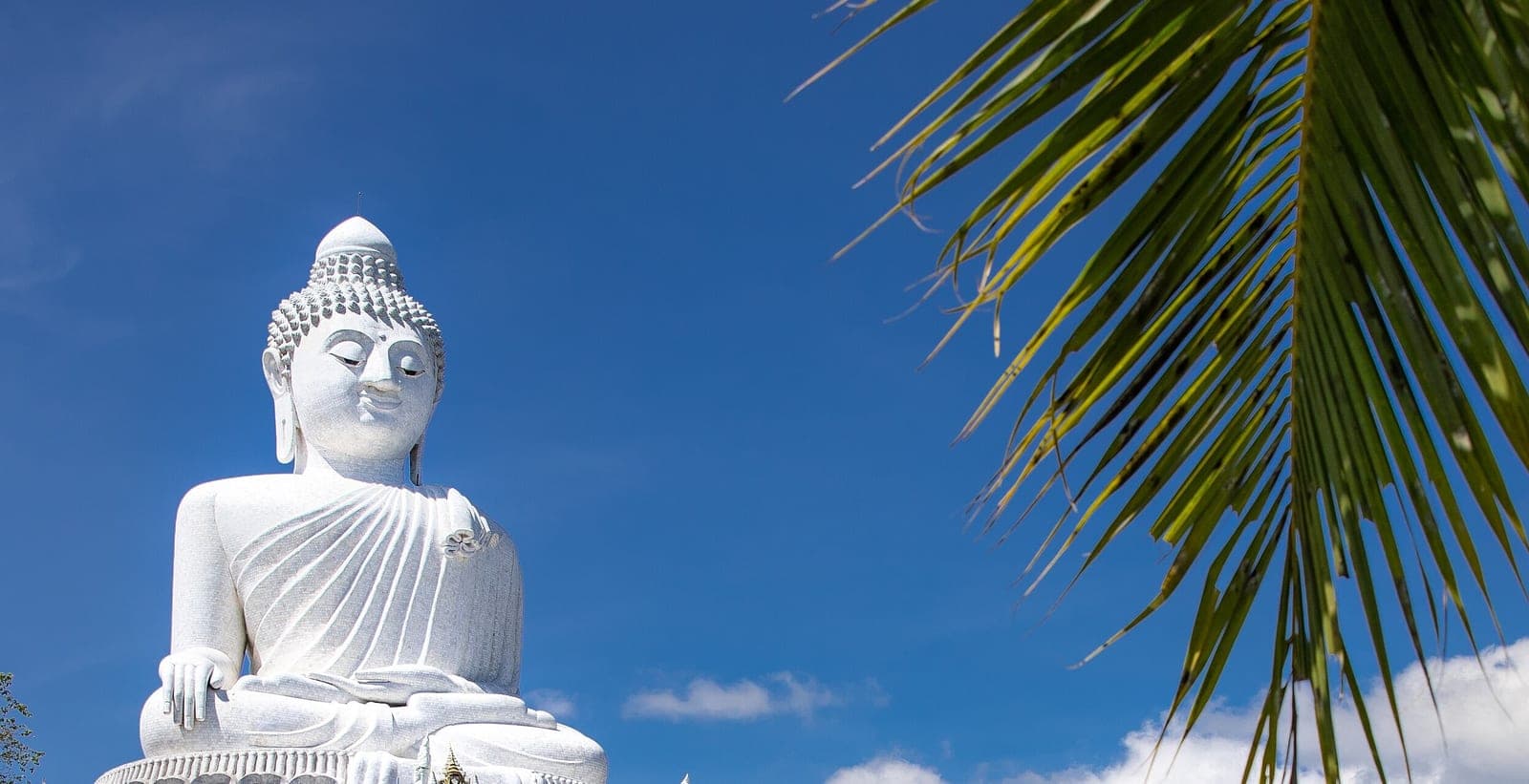 The white Big Buddha seated against a deep blue sky, a palm frond hanging down on the right