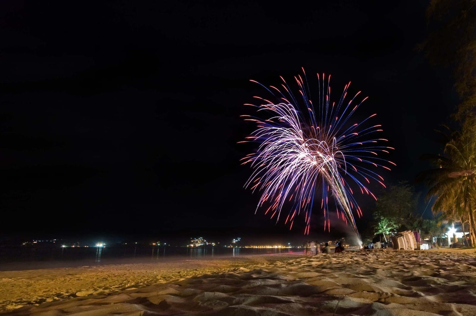 A firework bursting over Patong beach at night, palm trees on the right and the bay's lights beyond