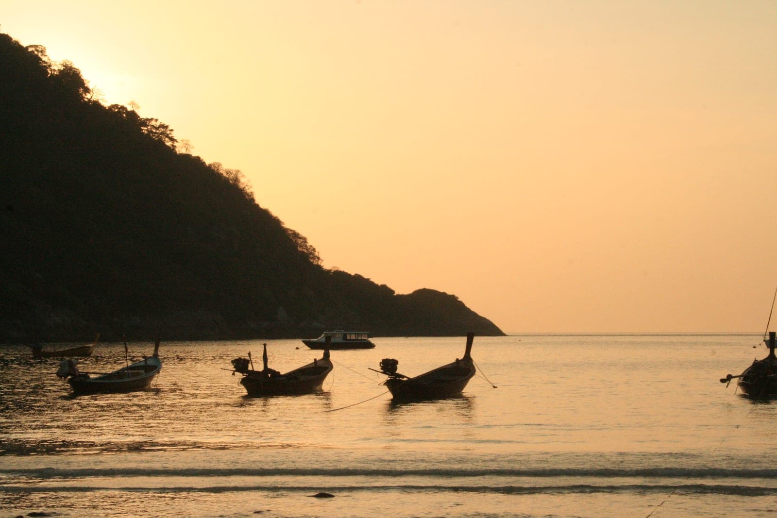 Longtail boats moored in a calm bay at sunset, a forested headland in silhouette behind them